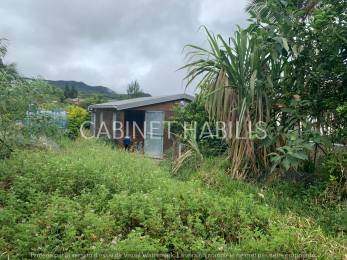 Achat Terrain Rivière Saint-Louis (97421) - REUNION