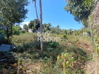 Achat Terrain Saint-Pierre (97410) - REUNION