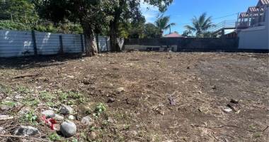 terrain plat - 1 146 m2
