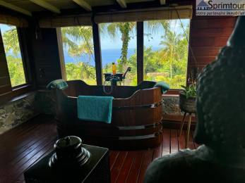 Achat  Local Professionnel Pointe Noire (97116) - GUADELOUPE