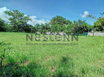Achat Terrain Sainte-Anne (97180) - GUADELOUPE