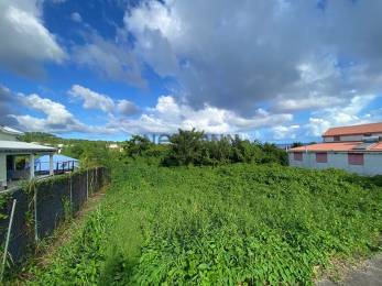 Achat Terrain Trois Rivières (97114) - GUADELOUPE