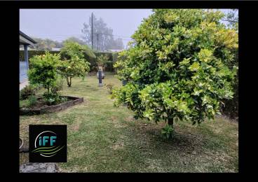 Location Villa Plaine des Palmistes (97431) - REUNION