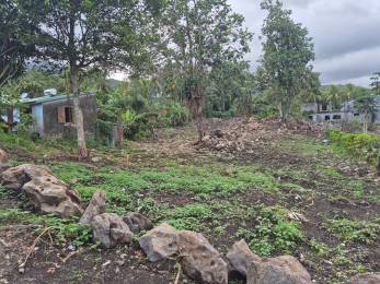Achat Terrain Capesterre Belle Eau (97130) - GUADELOUPE