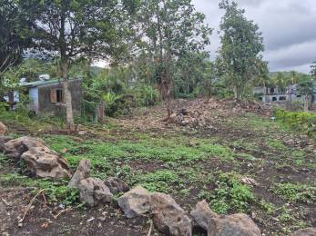 Achat Terrain Capesterre Belle Eau (97130) - GUADELOUPE