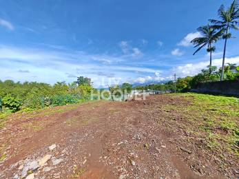 Achat Terrain Tampon (97430) - REUNION