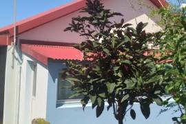 achat maison à saint-pierre (97410)