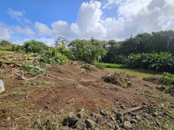 Achat Terrain Lamentin (97232) - MARTINIQUE