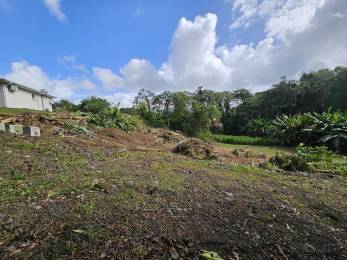 Achat Terrain Lamentin (97232) - MARTINIQUE