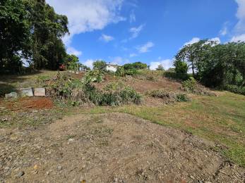 Achat Terrain Lamentin (97232) - MARTINIQUE