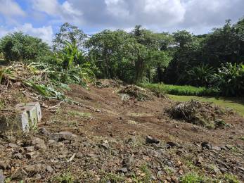 Achat Terrain Lamentin (97232) - MARTINIQUE