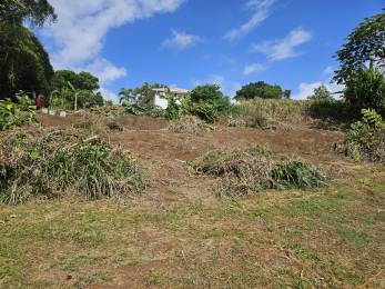 Achat Terrain Lamentin (97232) - MARTINIQUE