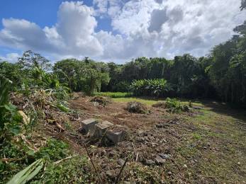 Achat Terrain Lamentin (97232) - MARTINIQUE