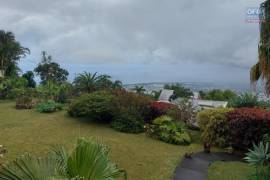achat maison à sainte-clotilde (97490)