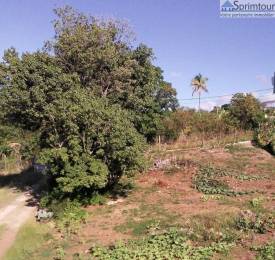 Achat Terrain Vieux Habitants (97119) - GUADELOUPE