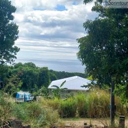 Achat Terrain Vieux Habitants (97119) - GUADELOUPE