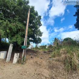 Achat Terrain Vieux Habitants (97119) - GUADELOUPE