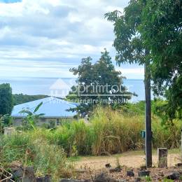 Achat Terrain Vieux Habitants (97119) - GUADELOUPE
