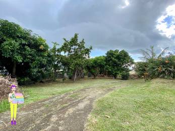 Achat Terrain Saint-Paul (97460) - REUNION