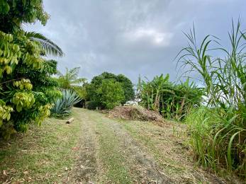 Achat Terrain Saint-Paul (97460) - REUNION