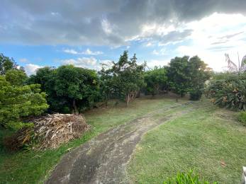 Achat Terrain Saint-Paul (97460) - REUNION