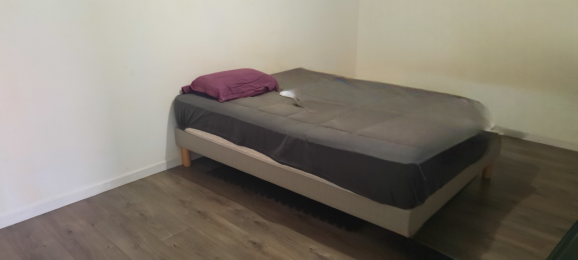 Achat Maison Plaine des Palmistes (97431) - REUNION