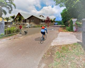 Achat Appartement Baie Mahault (97122) - GUADELOUPE