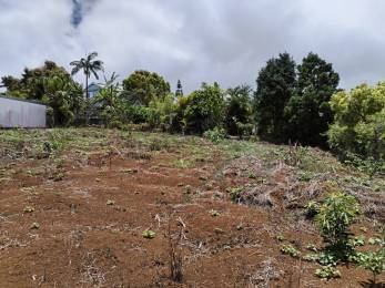 Achat maison/villa Hauts de l'Ouest (97423) - REUNION