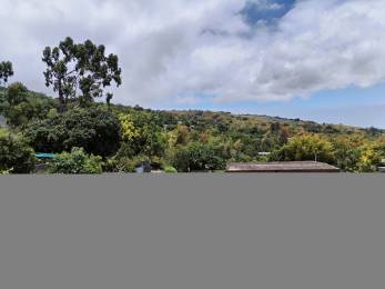Achat maison/villa Hauts de l'Ouest (97423) - REUNION