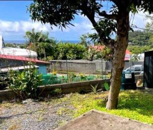 Location appartement Saint-Joseph (97480) - REUNION