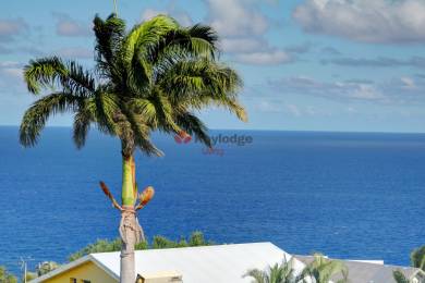 Location Appartement Saint-Leu (97436) - REUNION