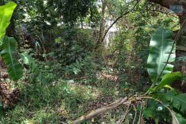 achat terrain à l'entre-deux (97414)