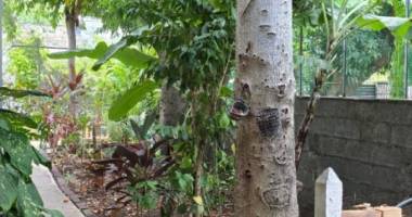 maison de type t6 dans le secteur colline des camélias