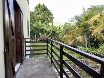 Location Autre Tampon (97430) - REUNION
