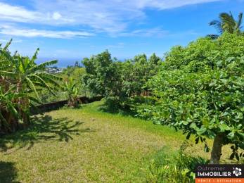 Achat Maison Sainte-Clotilde (97490) - REUNION