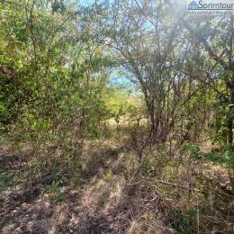 Achat Terrain Bouillante (97125) - GUADELOUPE