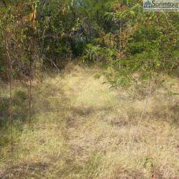 Achat Terrain Bouillante (97125) - GUADELOUPE