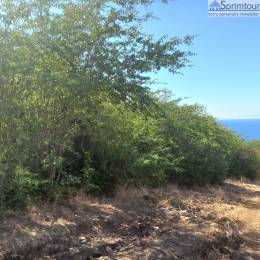Achat Terrain Bouillante (97125) - GUADELOUPE