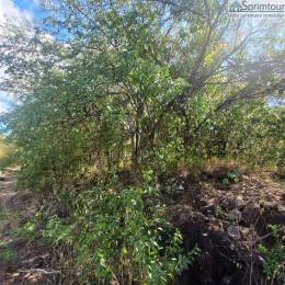 Achat Terrain Bouillante (97125) - GUADELOUPE