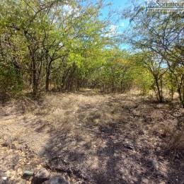 Achat Terrain Bouillante (97125) - GUADELOUPE