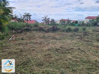 Achat Terrain Petite Ile (97429) - REUNION