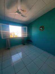 Achat Maison Saint-Louis (97450) - REUNION