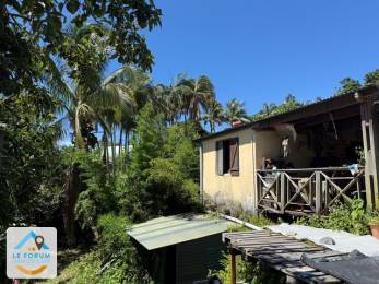 Achat Maison Saint-Philippe (97442) - REUNION