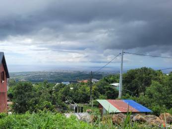Achat Terrain Saint-Paul (97460) - REUNION