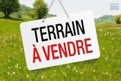 Achat Terrain Plaine des Palmistes (97431) - REUNION