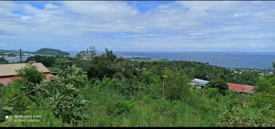Achat Terrain Saint-Joseph (97480) - REUNION