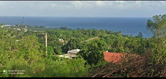 Achat Terrain Saint-Joseph (97480) - REUNION