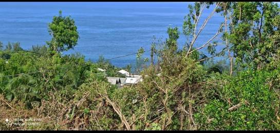 Achat Terrain Saint-Joseph (97480) - REUNION