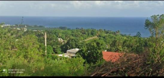 Achat Terrain Saint-Joseph (97480) - REUNION