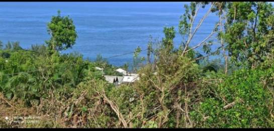 Achat Terrain Saint-Joseph (97480) - REUNION